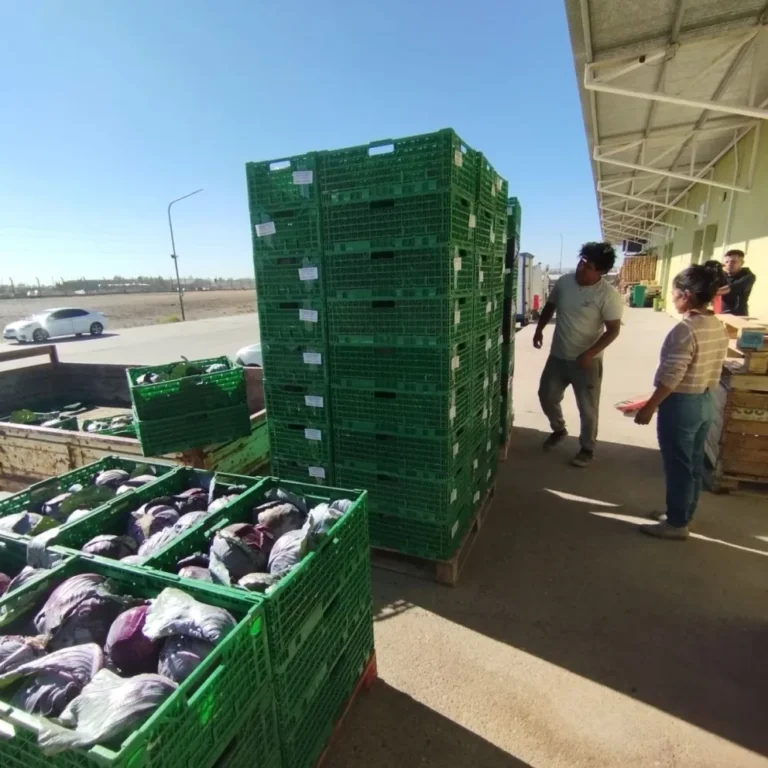 Provincia avanza en la apertura de nuevos mercados para productores del Valle Inferior del Río Chubut