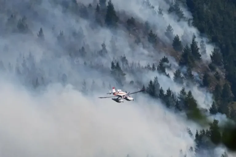 Incendios forestales: Provincia refuerza el despliegue de brigadistas y medios aéreos en Villa Lago Rivadavia