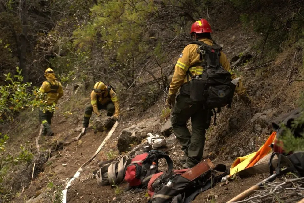 El incendio en el Parque Nacional Los Alerces sigue activo y el viento complica el combate del fuego