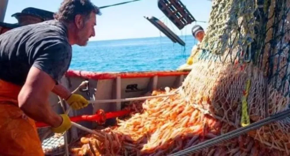 La temporada de langostino viene en baja y empresas piden que “baje la presión fiscal”