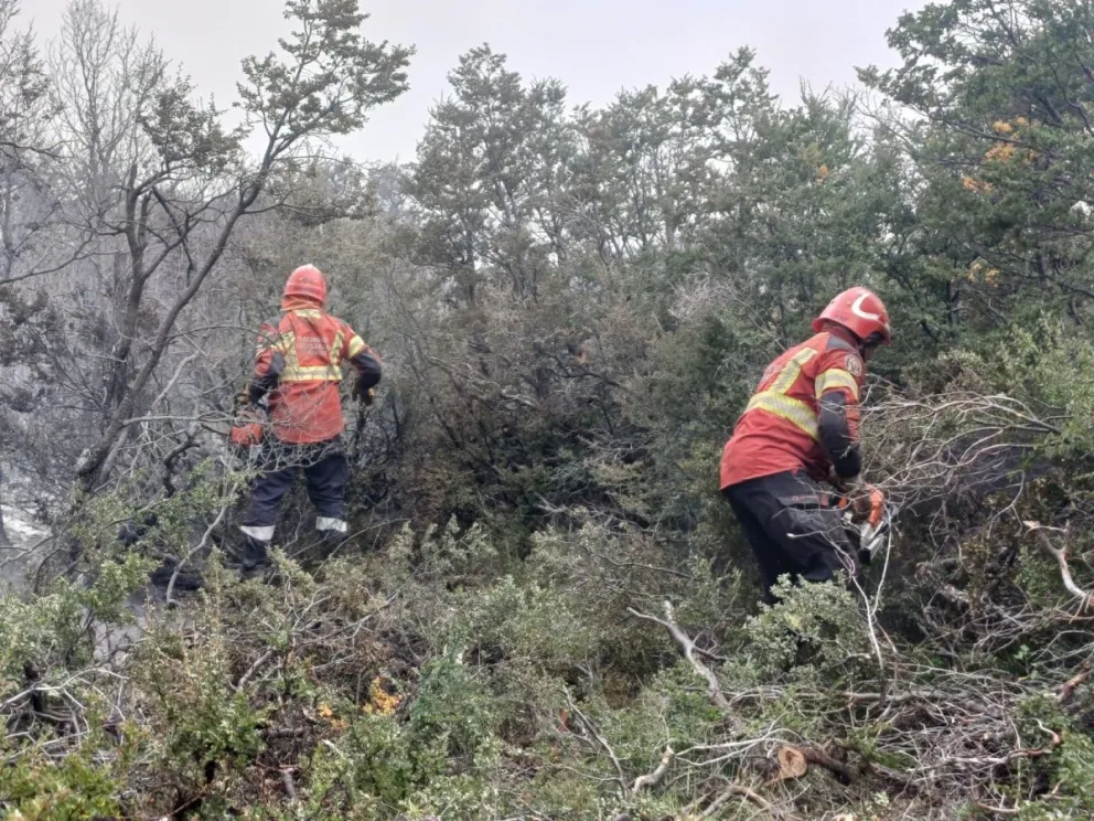 Incendio “Puerto Café” en Los Alerces: continúa activo pero sin afectar el ejido de Esquel