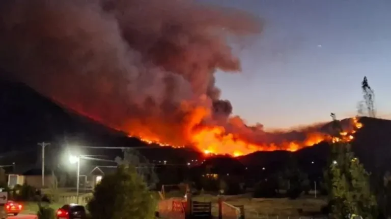 El incendio forestal en Puerto Patriada consumió al menos diez hogares y hay decenas de evacuados