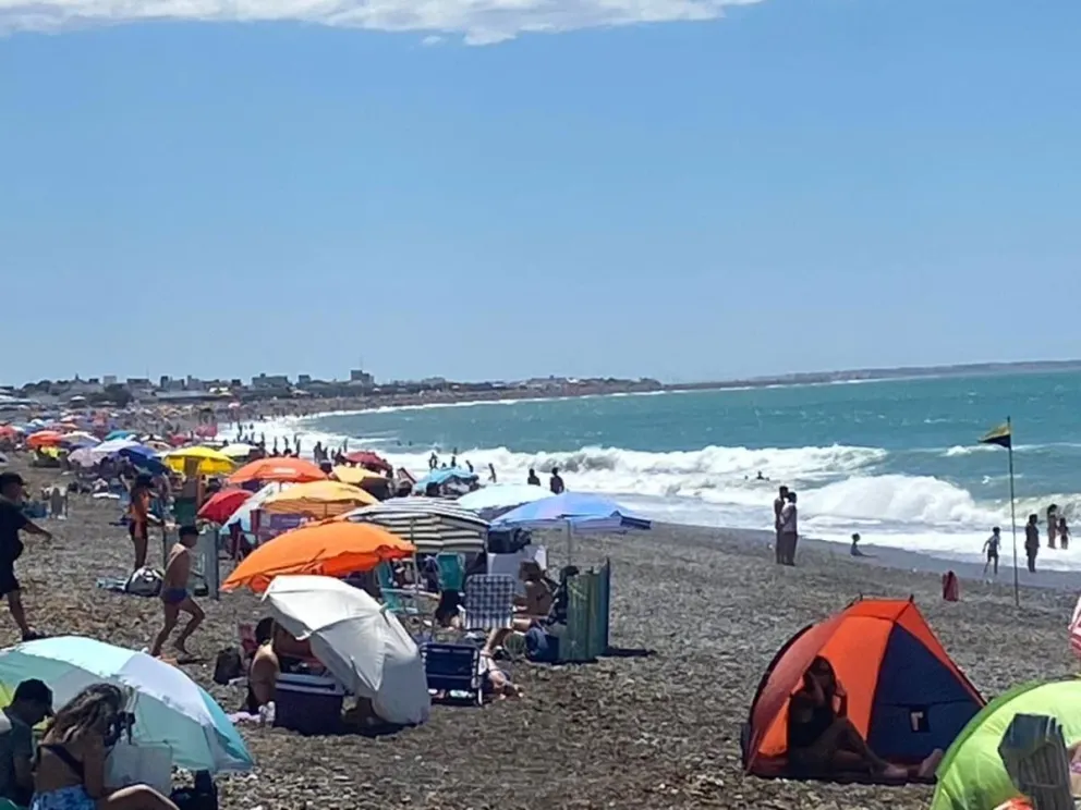Sancionan a los turistas que van a la playa con sus perros