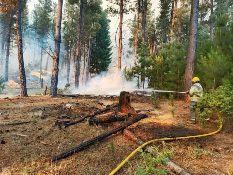 Bomberos de El Hoyo difundieron un alias para recibir ayuda de la comunidad 