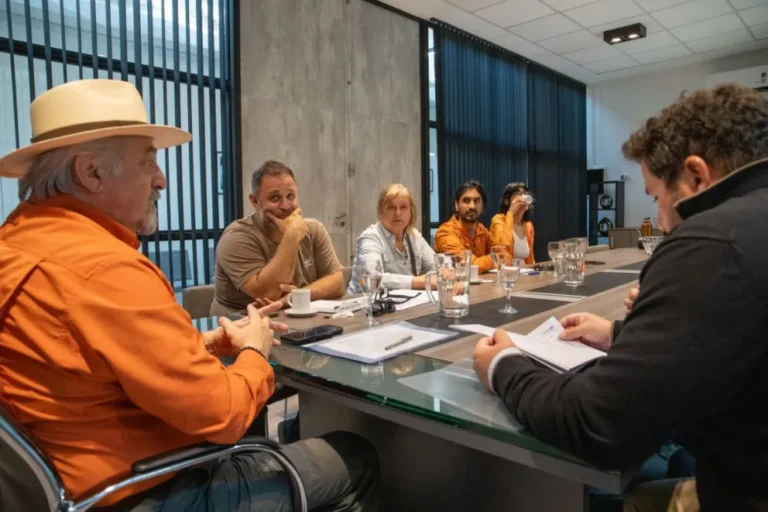 SEGEMAR presentó informes preliminares sobre la situación del cerro Hermitte