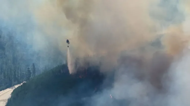 Incendio en Puerto Patriada: más de 230 brigadistas y seis medios aéreos en el operativo