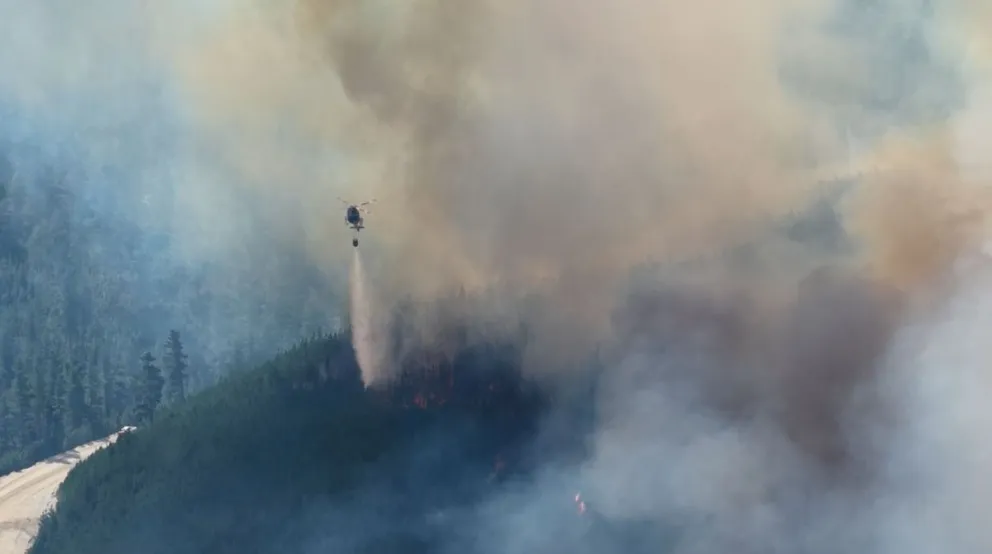 Incendio en Puerto Patriada: más de 230 brigadistas y seis medios aéreos en el operativo