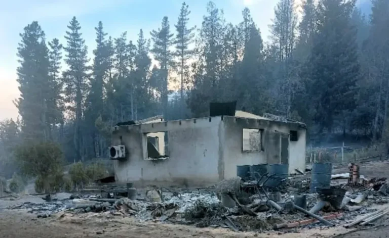Puerto Patriada: el fuego destruyó diez viviendas, sin víctimas por evacuación preventiva