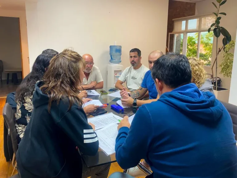 El Concejo declaró la emergencia geológica y urbanística tras el derrumbe del cerro Hermitte