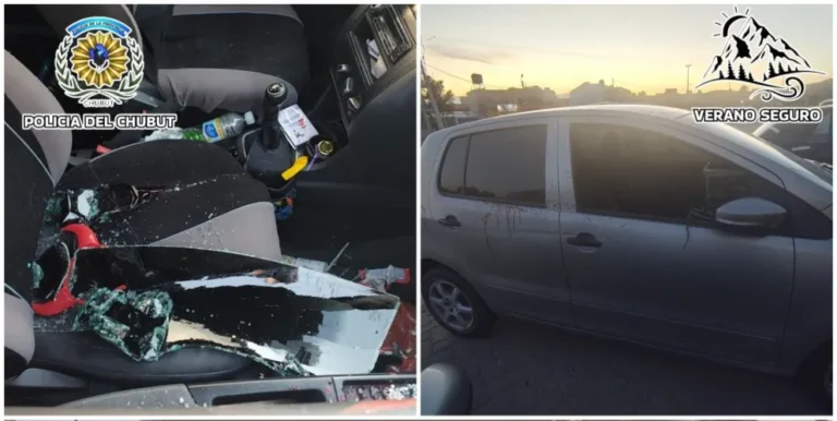 Detenido por destrozos a vehículo en Zona Sur