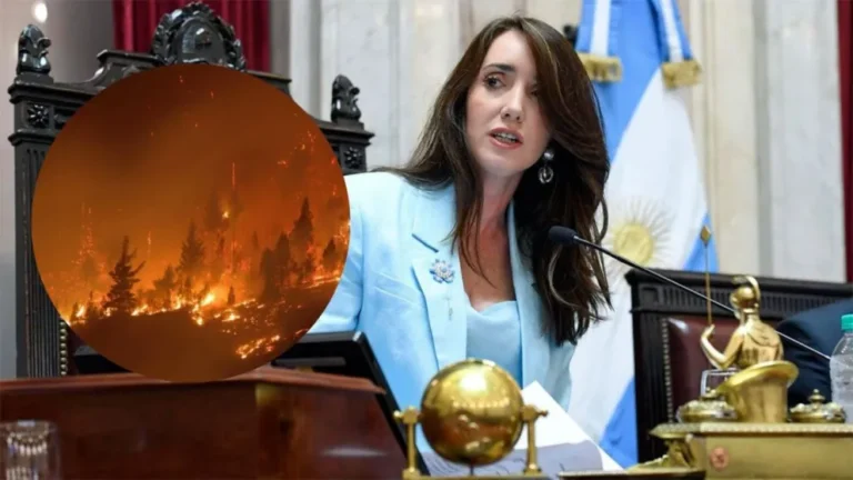 Villarruel pidió agravar las penas con cárcel efectiva por los incendios en la cordillera