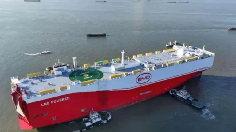 Llega un barco con más de 5.000 autos chinos y las terminales locales están en alerta