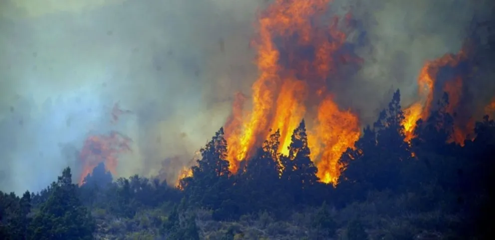 Horas dramáticas en Cholila: habilitaron la Ruta 71 bajo estado de alerta