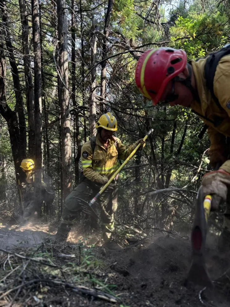 Ingresó en el Senado la Emergencia Ígnea  y saldría aprobada en extraordinarias