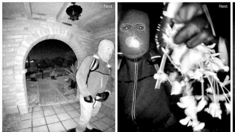 El secuestro de Nancy Guthrie: ¿qué revelan las imágenes publicadas por el FBI?