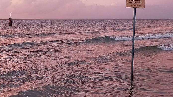 El mar Báltico se está vaciando de agua: "Un arrecife vibrante se está convirtiendo en un páramo submarino"