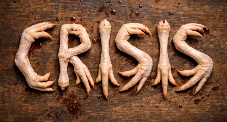 La paradoja del pollo: consumo récord y empresas avícolas en crisis