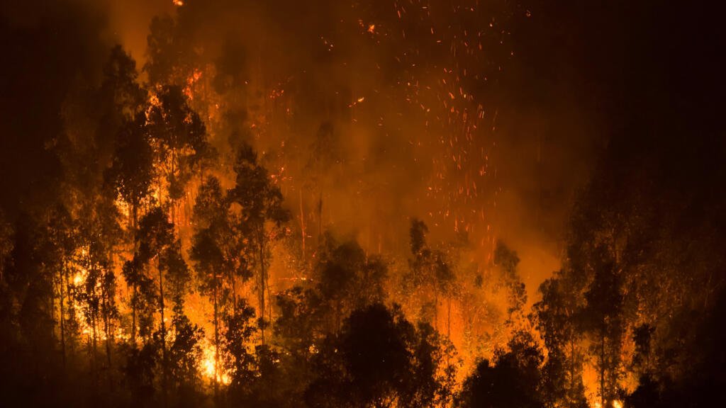 ¿Por qué cada temporada de incendios es peor en Chile y Argentina?