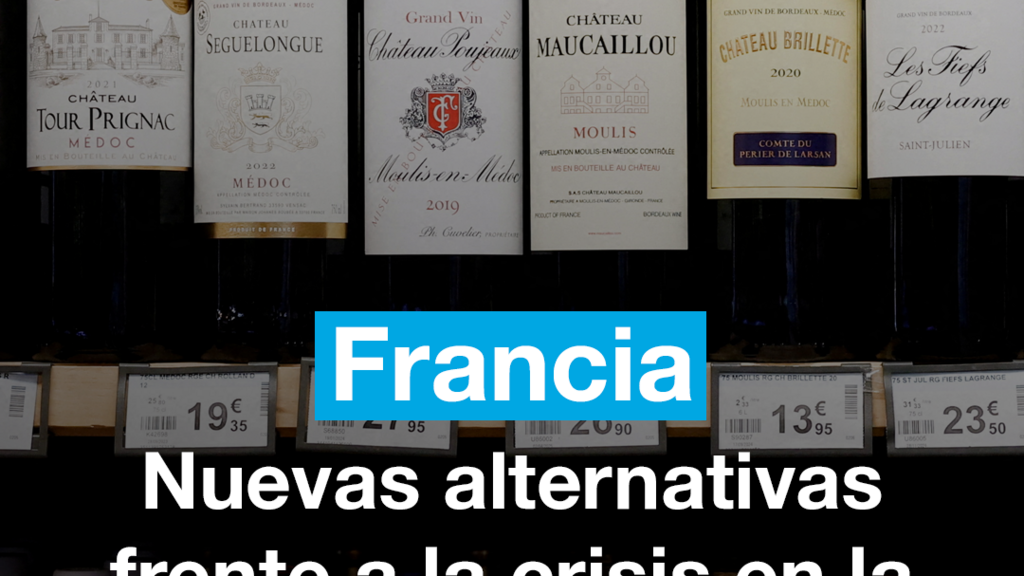 Pisco y vino sin alcohol: nuevas alternativas por la crisis vitivinícola en Francia