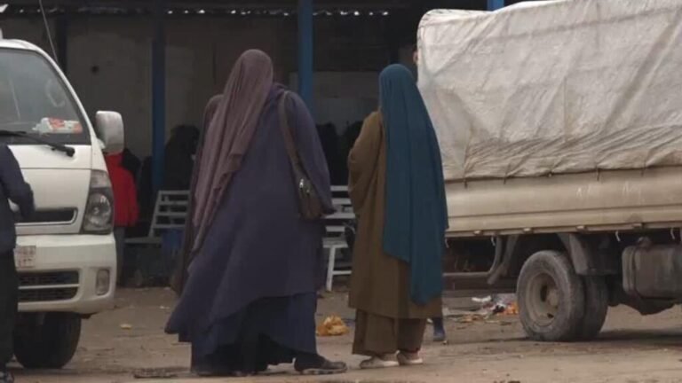 Futuro incierto para los desplazados en el campo de Roj