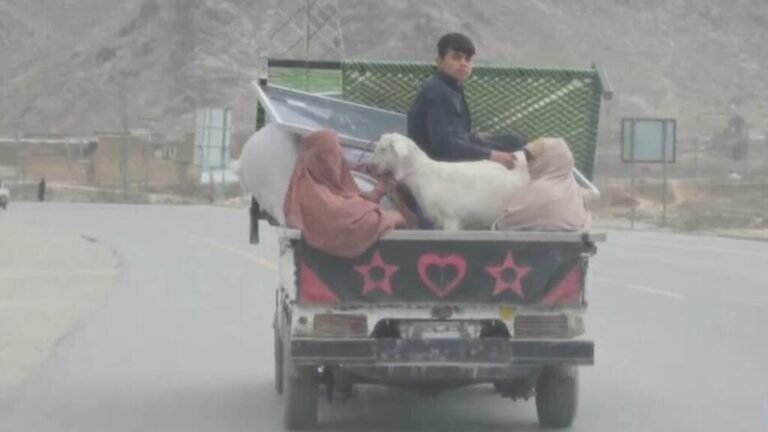 Nueva ola de desplazamientos tras intercambio de ataques entre Pakistán y Afganistán