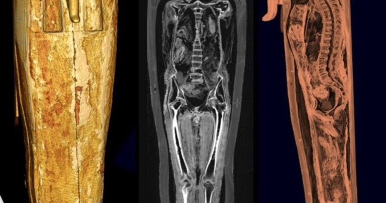 ¿El faraón más antiguo está en la Argentina? El enigma del sarcófago de Hor Wadj exhibido en el Bellas Artes