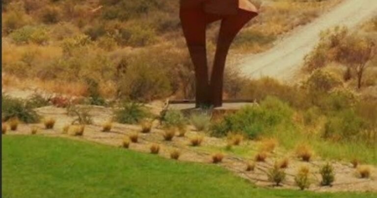 Proyecto Gondwana: cómo son las esculturas sonoras de Daniel Papaleo que conectan continentes