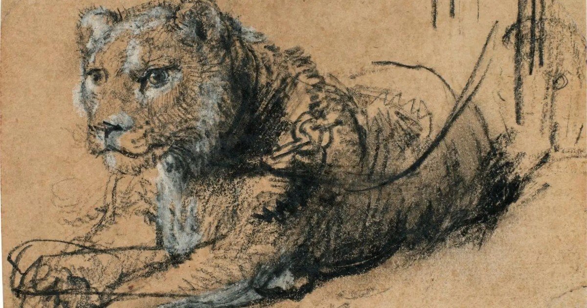 Sotheby’s vendió un dibujo único de Rembrandt y donará lo recaudado a la conservación de leones