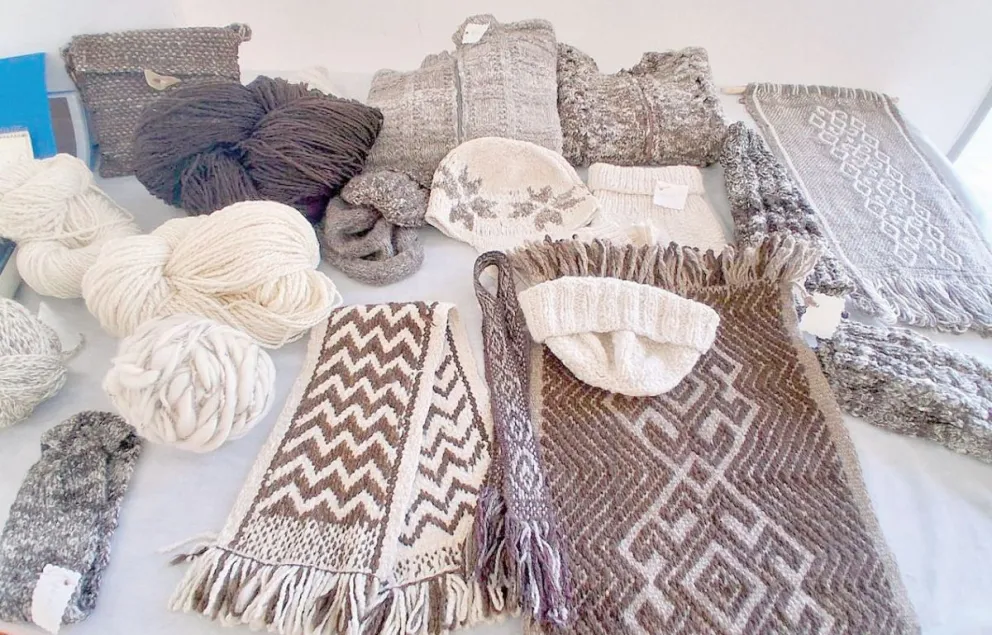 Artesanas chubutenses comenzaron a vender sus producciones en la estación de “La Trochita”
