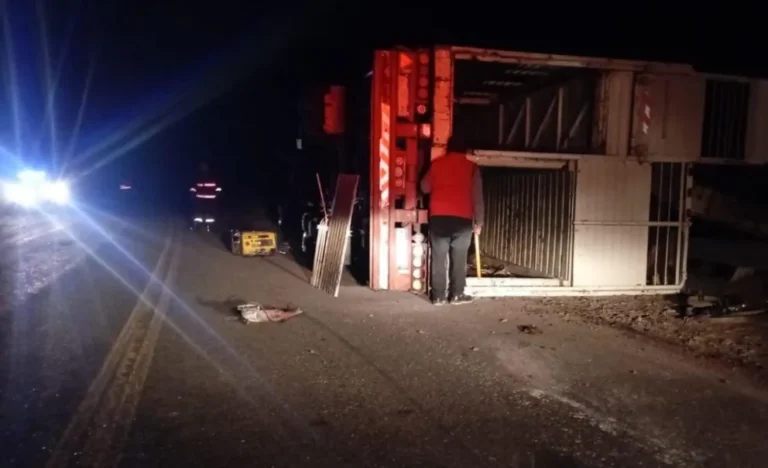 Camión con ganado despistó en Ruta 25 y hubo animales sueltos