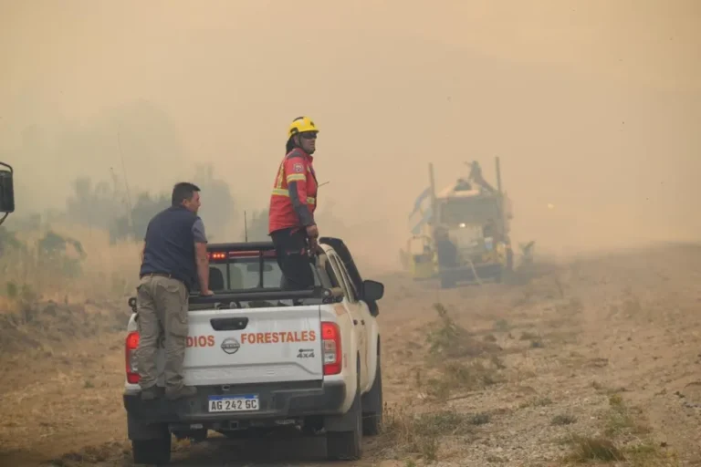 Mantienen un amplio despliegue de brigadistas y recursos operativos para controlar los incendios forestales en la Cordillera