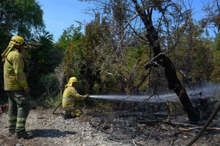 Controlan el incendio en Puerto Patriada y contienen el foco en Los Alerces