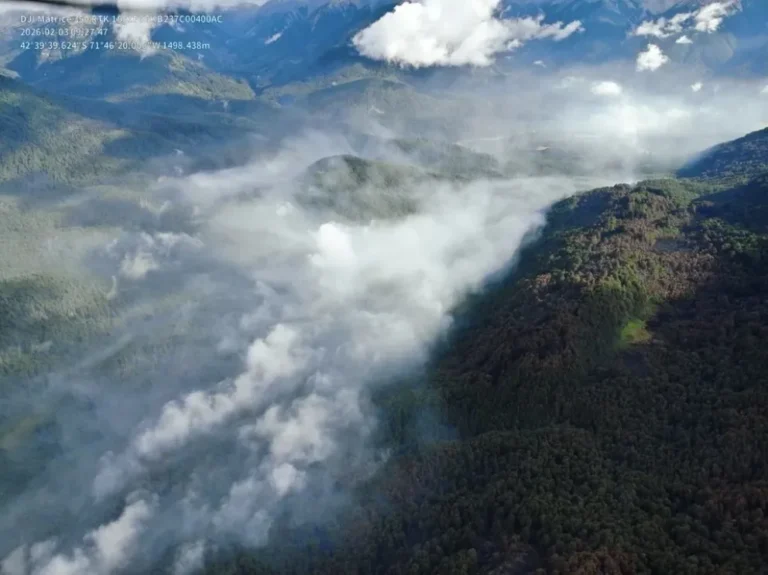 Condiciones meteorológicas moderadas favorecen el control del fuego en Chubut