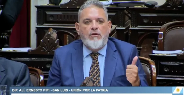 El diputado Alí comparó la reforma laboral con el plan económico de la dictadura