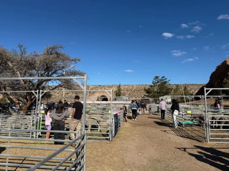 Con importante público se inauguró la Feria Rural en Puerto Deseado