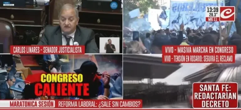 Linares: "Una ley laboral no genera empleo bajo ningún punto de vista"