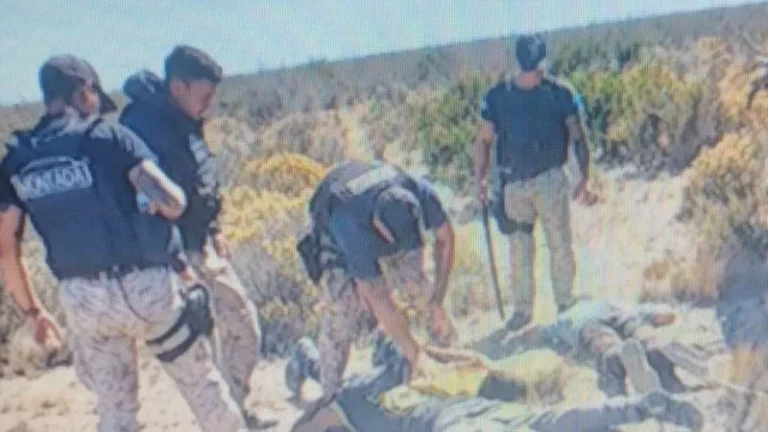 Quiso embestir a un patrullero y terminó detenido tras una persecusión