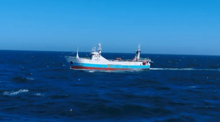 Detectaron la presencia ilegal de un buque pesquero español en la Zona Económica Exclusiva Argentina