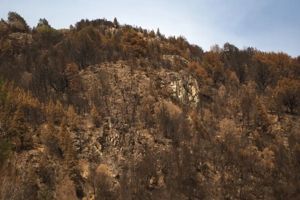 El fuego en Los Alerces ya afectó 16 mil hectáreas y continúa el combate