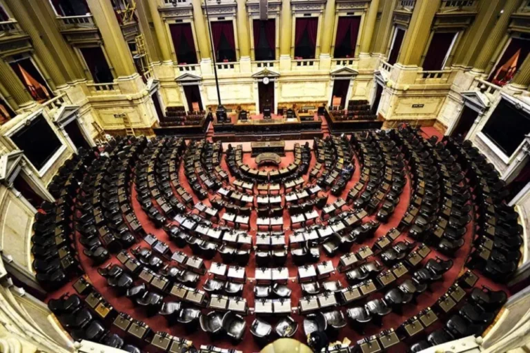 Diputados trata la Ley Penal Juvenil que baja la imputabilidad a 14 años