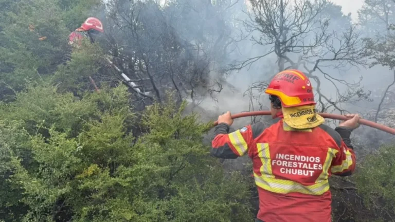 El incendio Puerto Café se mantiene dentro del perímetro y no ingresó a Esquel