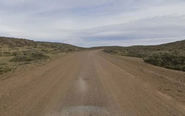 Un niño de seis años murió tras un trágico vuelco cerca de Punta Tombo