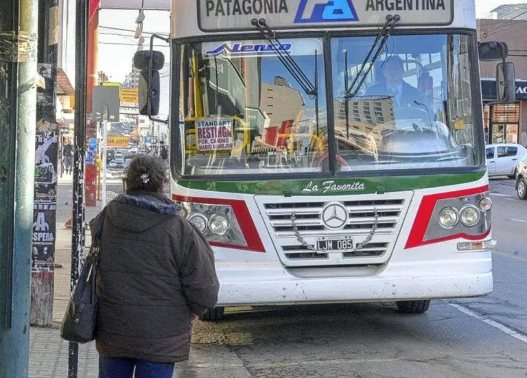 En las próximas semanas se conocerá quién quedará a cargo del servicio de transporte público