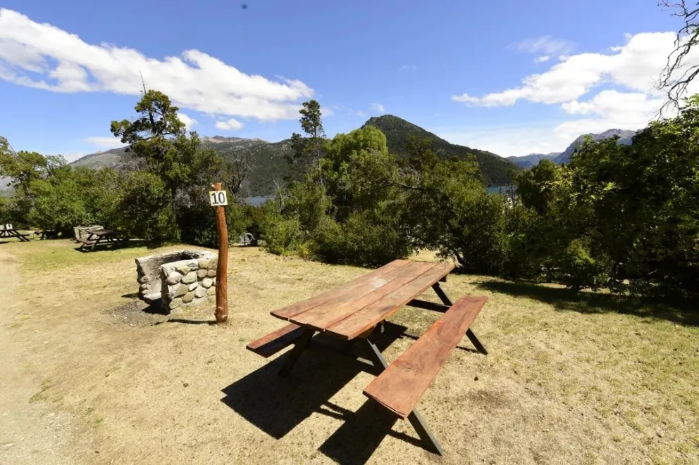 Proyección Alerces 2026: lanzan plan de reconstrucción y exenciones para concesionarios