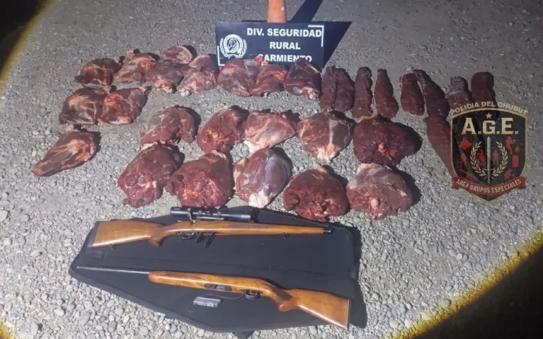 Sarmiento: secuestran cinco guanacos faenados y armas en un control sobre la Ruta 24