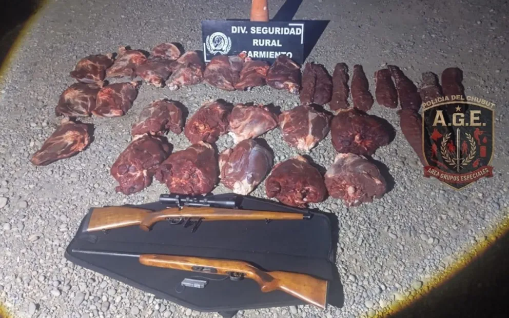 Sarmiento: secuestran cinco guanacos faenados y armas en un control sobre la Ruta 24