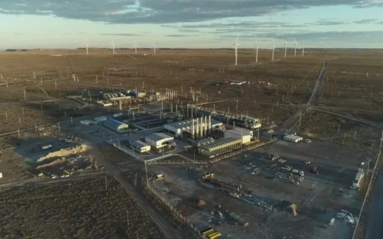 Por qué PECOM se quedó con el área Manantiales Behr de YPF