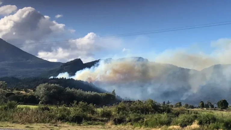 Precaución en la Ruta Nacional 259 por el incendio La Tapera