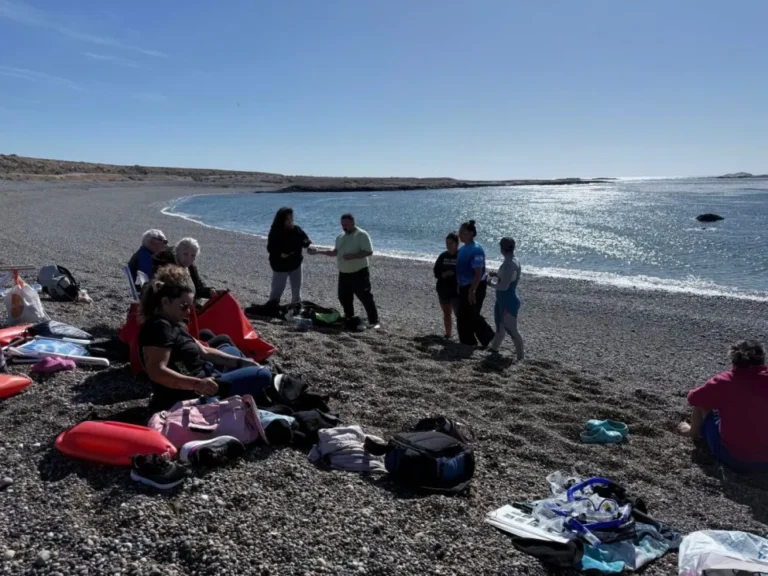 Realizaron una actividad de snorkel educativo en los bosques de macroalgas de Puerto Deseado