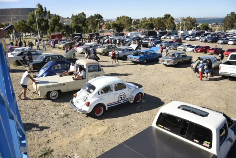 El Club de Autos Clásicos juntó elementos para los damnificados del Cerro Hermitte
